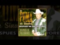 El Puma de Sinaloa - Despues de Mis Errores