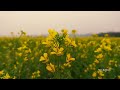 শরতের শেষ থেকে Shoroter Shesh Thekey Pritom Hasan Films By Rimon