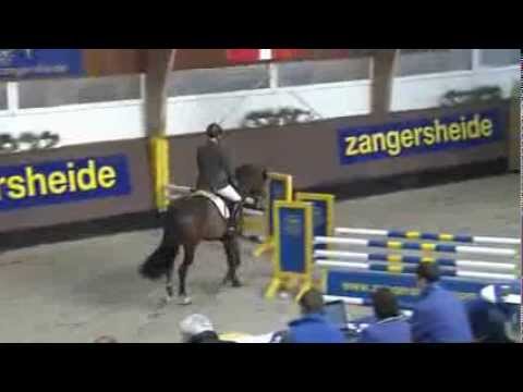 Zangersheide approval march 2014