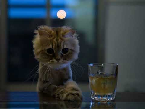 Eric Clapton - Wonderful tonight (Sad version)