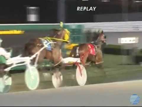 All Stienam YR Aug28