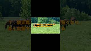 ChatGPTにマニアックな競馬の質問してみた #Shorts
