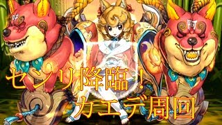 【パズドラ】【201909 センリ降臨！ 狛犬姫 壊滅級 カエデ周回】（マルチ）