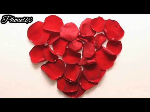 PHONETIX - PHONETIX - Patetická (2021)