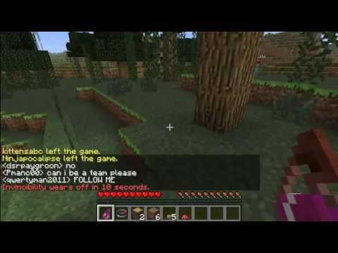 The Hunger Games Minecraft Attempt #1