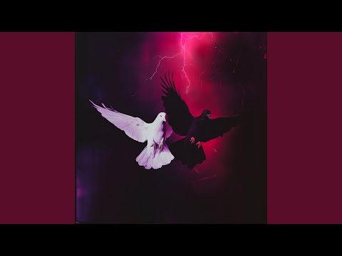 NUMERI (feat. Toni Zeno, RollzRois)