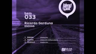 Ricardo Garduno - Pendulo (Original Mix) on Blind Spot Music