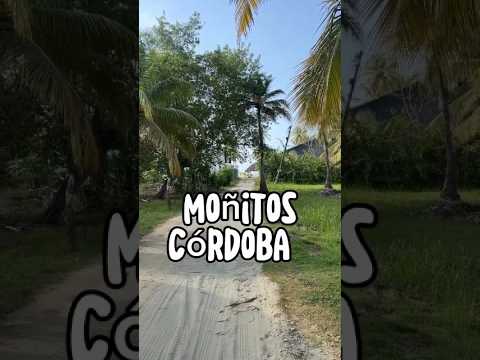 Visita Moñitos Córdoba y alójate en nuestras cabañas de Maria Moñitos Hostel