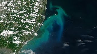Jersey Shore waters are bluer than ever