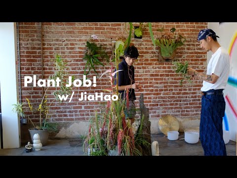 My First Plant Installation & Teaching a Workshop w/ JiaHao - Plant Diaries