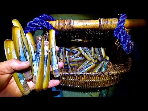 Big Razors Clams Everywhere ! Giant starfish & Prawns - Catch & Cook