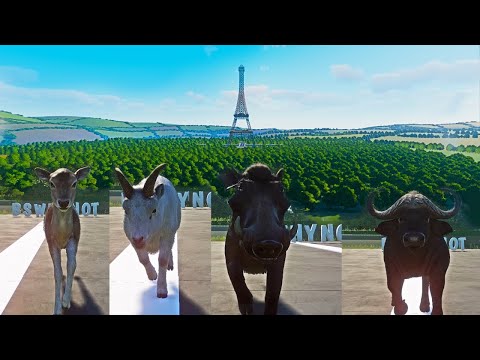 Random Animals Speed Races at the Eiffel Tower in Planet Zoo includes European Fallow Deer etc...