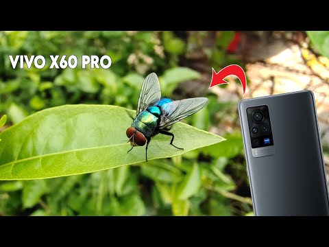 Vivo X60 Pro Camera Test