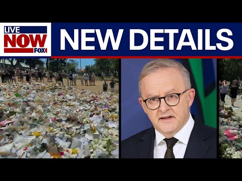 Video | Bondi Beach shooting update: Australian Prime Minister Anthony Albanese and other officials speak
