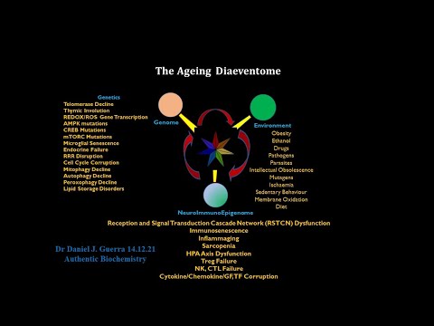 Human Ageing Final Video Lecture.  DJGPhD. Authentic Biochemistry Productions 14.12.21