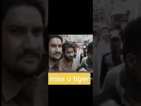 Raja kaleem tiger shaheed #tsf