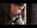 Raccoon Cuddles and Kisses || ViralHog - ViralHog Raccoon Cuddles and Kisses || ViralHog