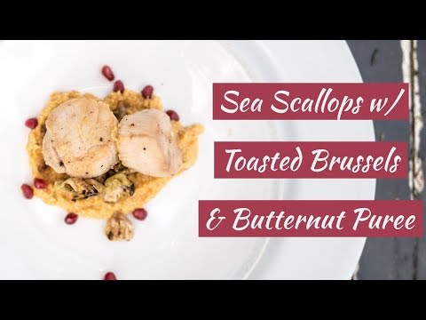 How To Make Scallops || Cara Di Falco || Cara's Cucina || Far Hills Seafood