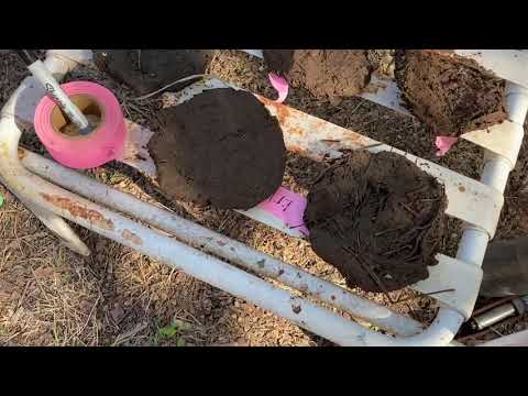 Results of the first cob mixing test