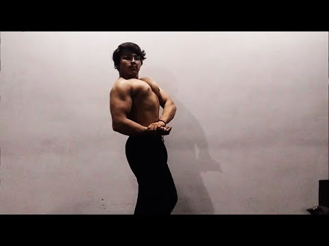 Spring Bulk Day 82 - Chest & Triceps