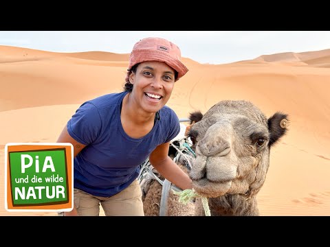 Hitzefrei in der Sahara | Reportage für Kinder | Pia und die wilde Natur