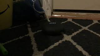 google home song pop