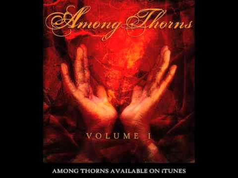 Start A Fire - Among Thorns