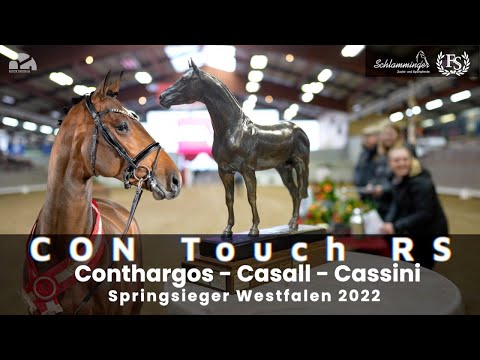 Con Touch RS | Siegerhengst Westfalen 2022 | Ferienhof Stücker