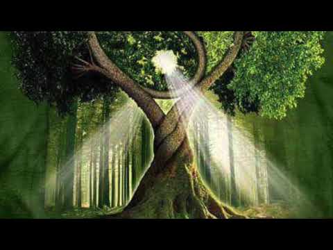 DJane Shamain  - Happy Twenty One