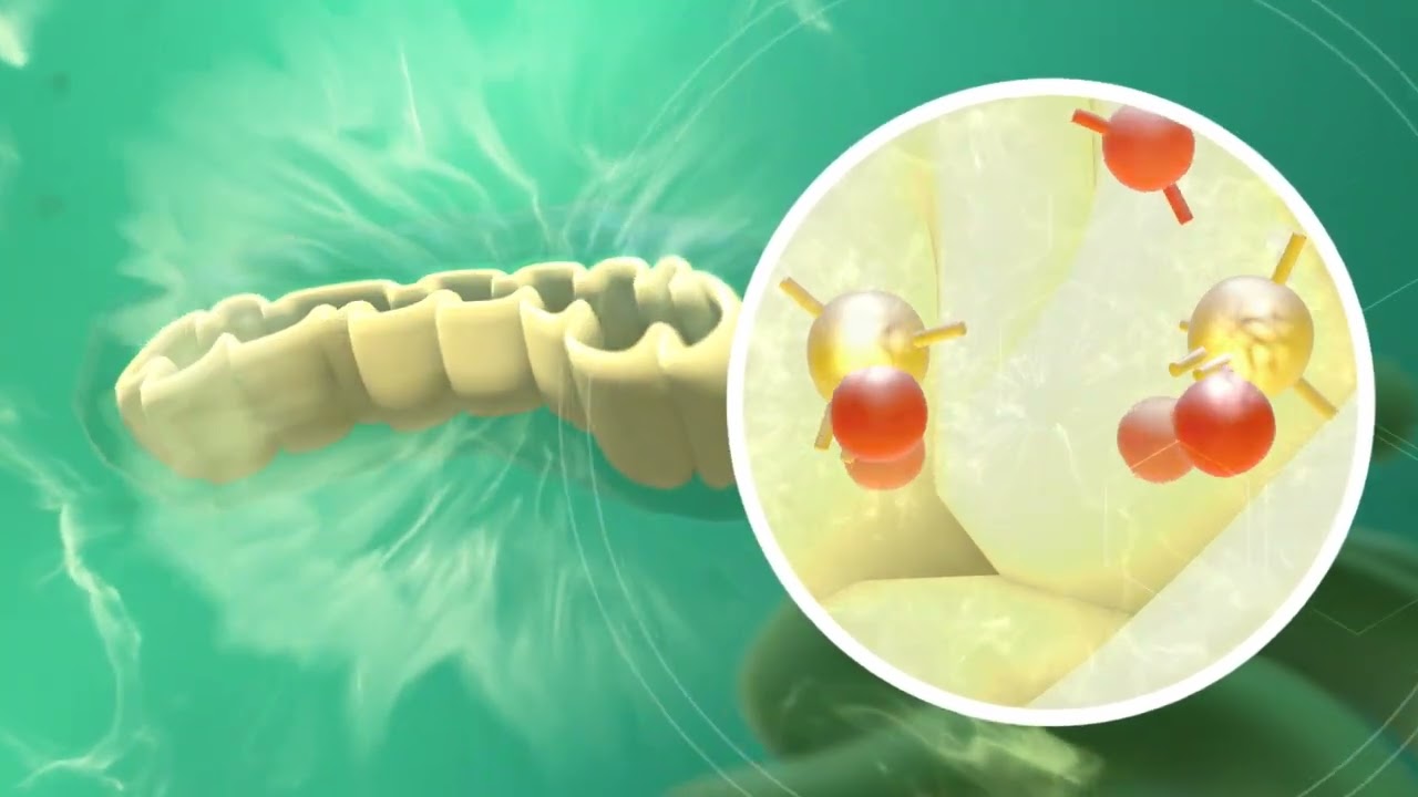 Litzahalla García-2