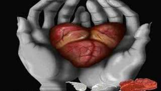 Tu Amor Lyrics English Translation