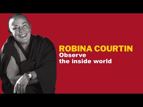 STTA 249: Observe the inside world — Robina Courtin