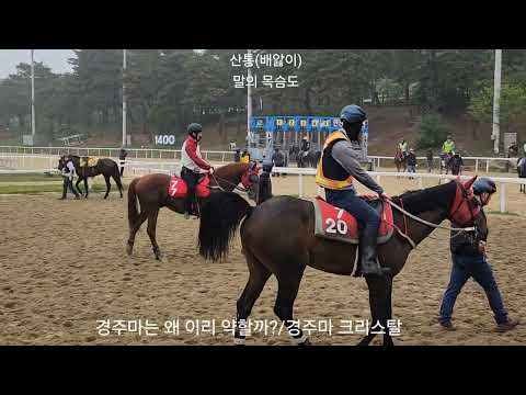 산통(배앓이) 죽음도
