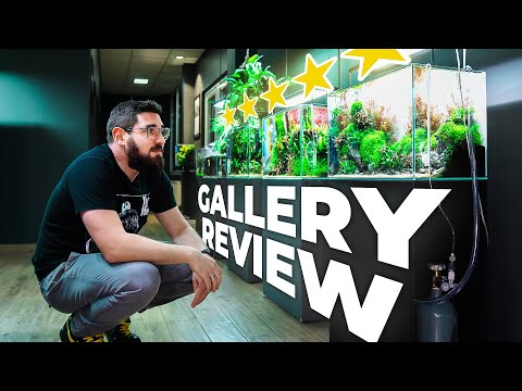 Every Aquarium at Green Aqua Ranked – Honest Scores & Real Problems