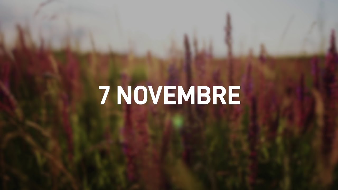 7 Novembre 2025 | Meditazione Parole di Vita