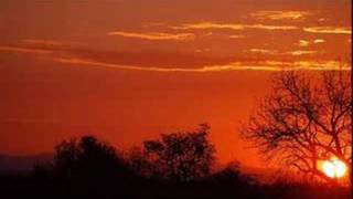 The Gathering - A Noise Severe