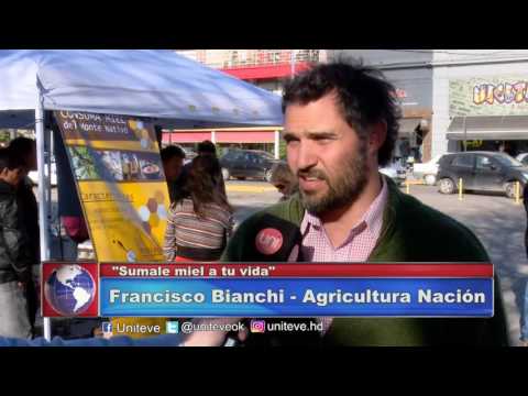 Sumale miel a tu vida - Exposición