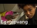 Eva gaat op bezoek bij de egelopvang! | Vragen van Kinderen