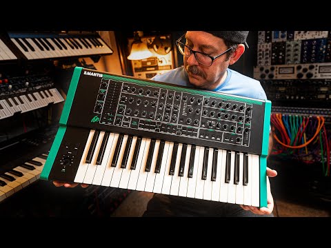 PWM Mantis Review // Tons of character!