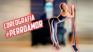 María León: Clase de Baile, Coreografía #PerroAmor