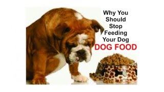 dog foods secrets RICK ROSS DOG FOOD