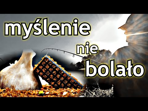 Garlic as old as time and the result thanks to thinking. Feeder and Measles.