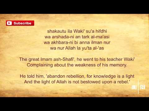 Knowledge Is Light || Talib Al Habib ᴴᴰ || Nasheed with Lyrics