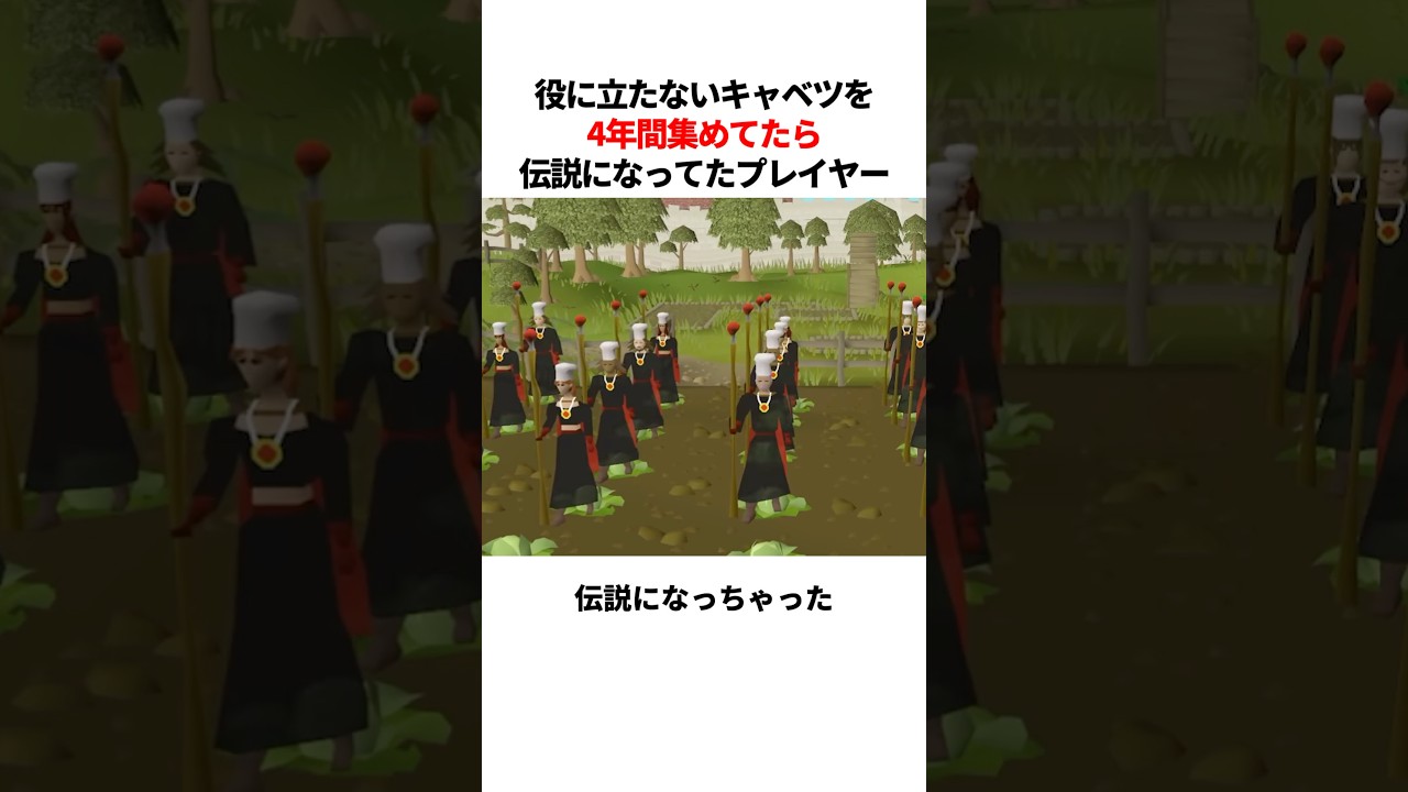 キャベツを4年間集め続けたら伝説になってたプレイヤー