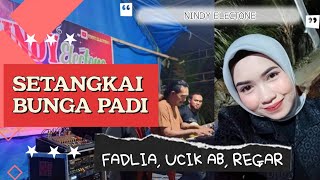 Download lagu Setangkai Bunga Padi || Fadlia || Keyboardis Ucik Ab ft Gitaris Regar || Live Musik Nindy Electone mp3