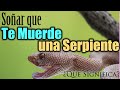 SOÑAR que te MUERDE una SERPIENTE ✨🐍✨ ¿Qué Significa? ¿Qué quiere decir este sueño?