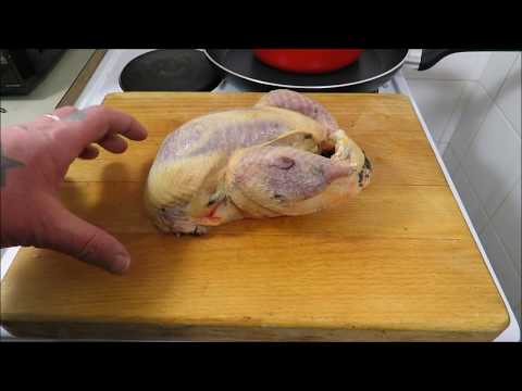 download lagu mp3 mp4 Spatchcock Pheasant Recipes, download lagu Spatchcock Pheasant Recipes gratis, unduh video klip Spatchcock Pheasant Recipes