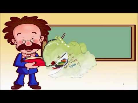 Vokalharmonie im Türkischen