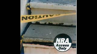 NRA - In A Free Land (Hüsker Dü Cover)