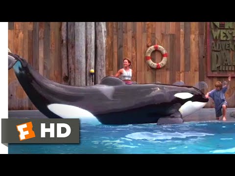Free Willy (1993) - Willy's Performance Scene (6/10) | Movieclips